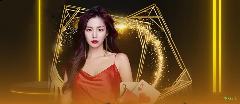 Interface do Aplicativo 255bet - Design Premium e Intuitivo